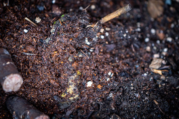 Potting soil texture