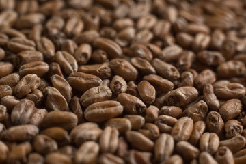 Background from whole grains wheat. Close-up groats, texture. Сereals for the production of alcoholic beverages and animal feed. Depth of field