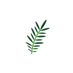 acacia branch foliage nature leaf icon flat
