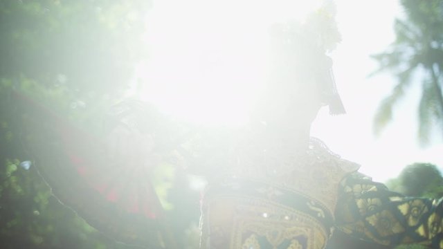 Portrait Balinese female an ancient dance tradition Indonesia