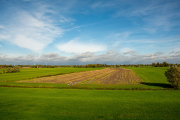 Obraz premium Farmland