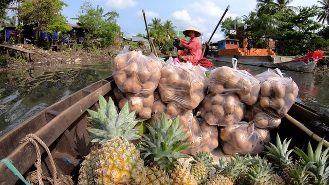 Floating market fresh fruit and vegetables South Vietnam 