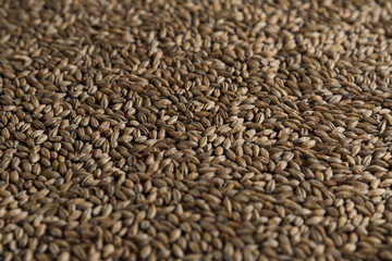 Background from whole grains wheat. Groats texture. Сereals for the production of alcoholic beverages and animal feed. Flat lay
