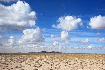 field and blue sky in Bolivia