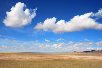 Fototapeta na wymiar field and blue sky in Bolivia