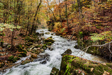 Gorge du Taubenloch, Suisse