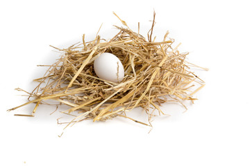 an egg lying in straw in a hen house on a farm isolated on white