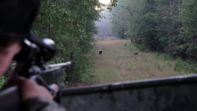 Male hunter lines up deer to shoot with rifle then decides not to shoot