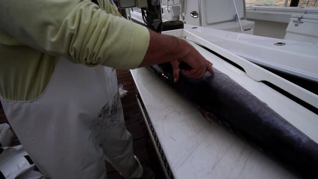 Person slicing up large game fish on jetty next to boat, slow motion medium shot