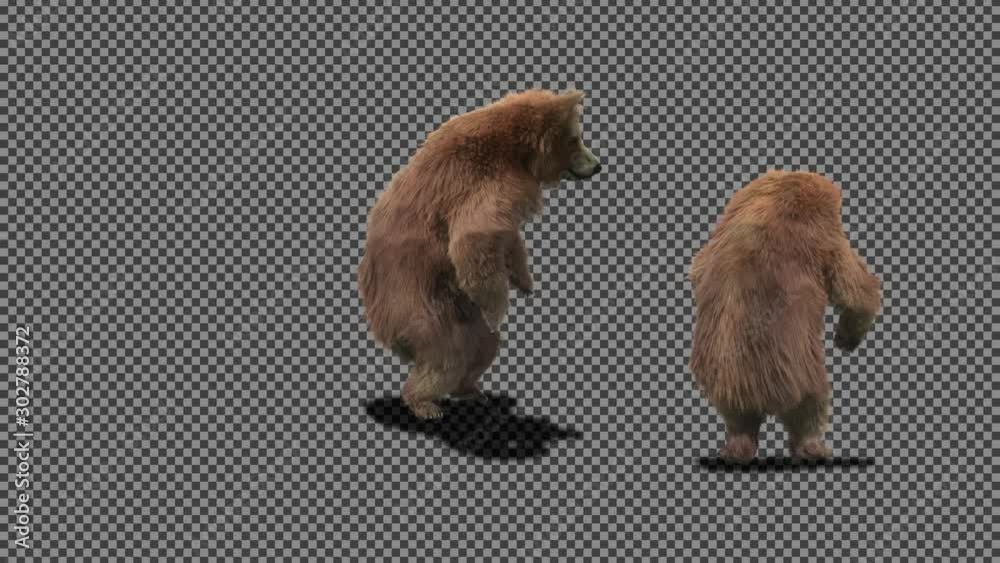 Poster bear dance cg fur 3d rendering animal realistic cgi vfx animation loop composition 3d mapping cartoo