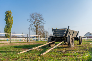 Fototapeta na wymiar a horse-drawn village wagon stands outside on a summer day