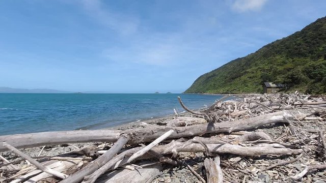 The beach on Kapiti Island looking back to Paraparaumu near Wellington in New Zealand