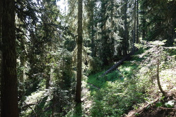 Fototapeta premium Landscapes of Washington State
