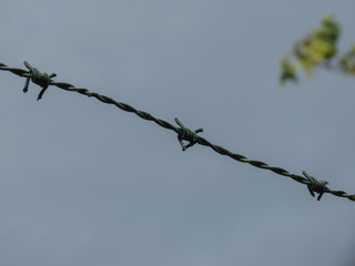 Barbed wire fence