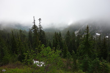 Landscapes of Washington State