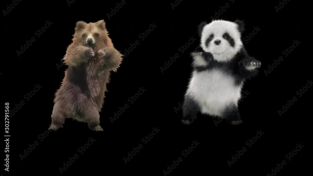 Poster bear dance cg fur 3d rendering animal realistic cgi vfx animation loop composition 3d mapping cartoo