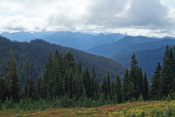 Landscapes of the Pacific Northwest