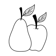 Isolated apple and pear fruit vector design