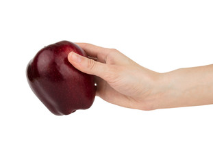 Female hand conveys burgundy red apple isolated on white background. 