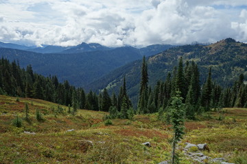 Landscapes of the Pacific Northwest