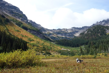 Landscapes of the Pacific Northwest