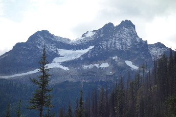 Landscapes of the Pacific Northwest