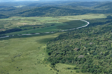 Marais, polders, forêt de Kaw commune de Régina en Guyane française