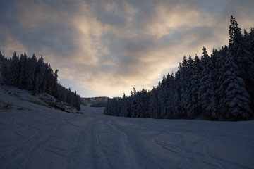 landscapes of the pacific northwest