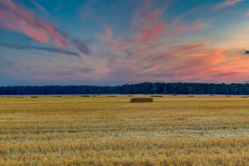 Hay Bales in a harvested field at sunset, Mieniany, Hrubieszów