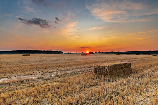 Hay Bales in a harvested field at sunset, Mieniany, Hrubiesz&oacute;w