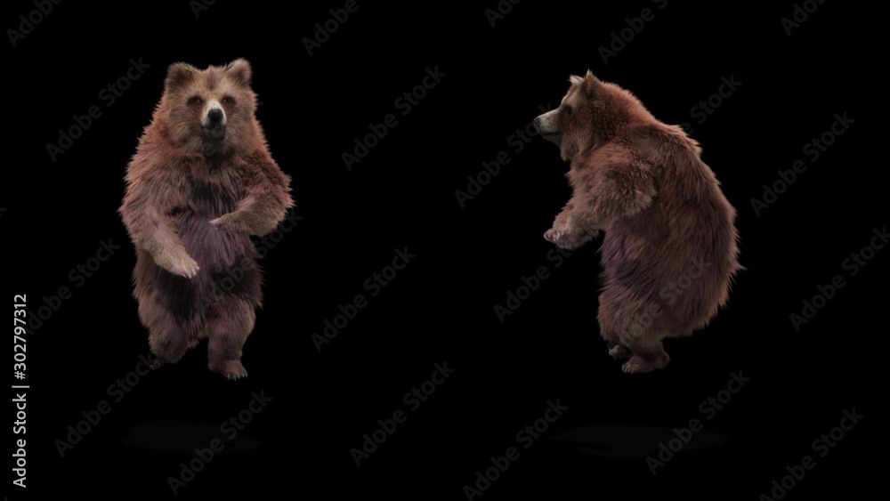 Wall mural bear dance cg fur 3d rendering animal realistic cgi vfx animation loop composition 3d mapping cartoo
