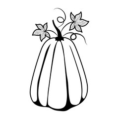Isolated autumn pumpkin vector design