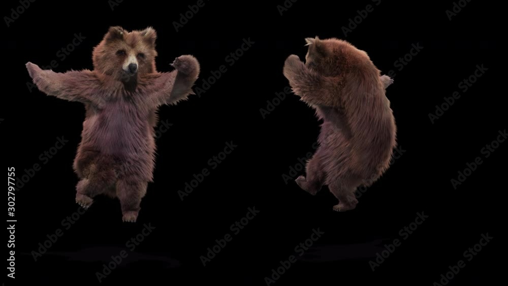 Poster bear dance cg fur 3d rendering animal realistic cgi vfx animation loop composition 3d mapping cartoo