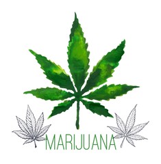 Hand drawn Cannabis leaves isolated on white background. Medical marijuana or weed vector illustration