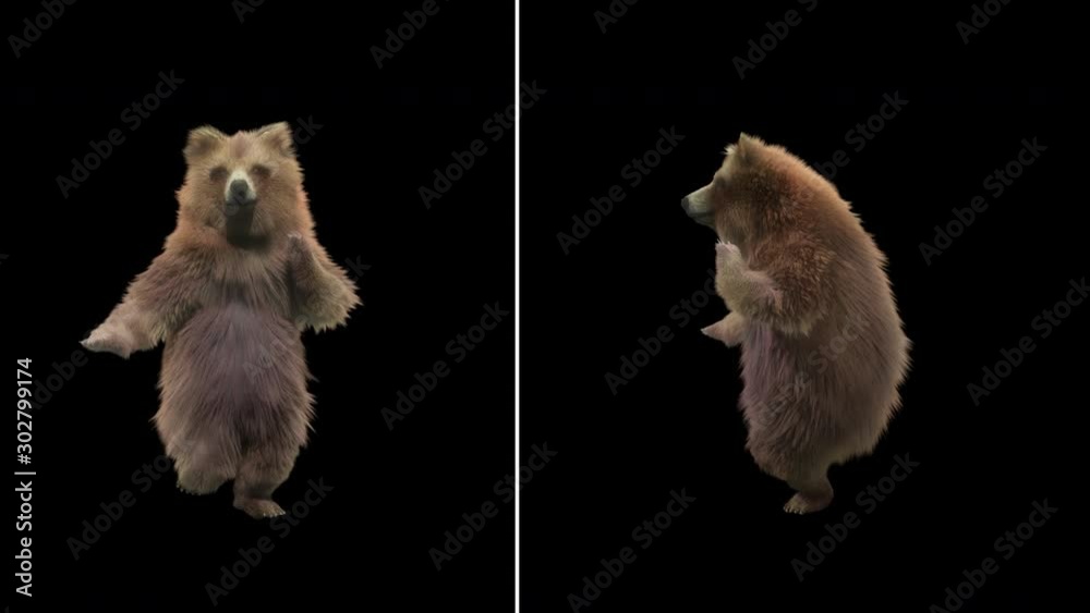 Wall mural bear dance cg fur 3d rendering animal realistic cgi vfx animation loop composition 3d mapping cartoo