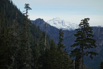 Landscapes of the Pacific Northwest