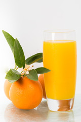 Concept image for healthy living showing a glass of  freshly squeezed orange juice and the fruit isolated against a white background.