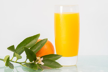 Concept image for healthy living showing a glass of  freshly squeezed orange juice and the fruit isolated against a white background.