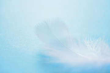 羽根　青い背景