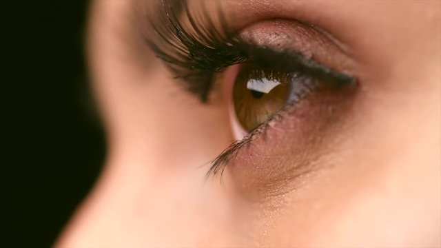 Beauty woman eye makeup closeup. Beautiful holiday make-up for brown eyes. False eyelashes. Slow motion 4K UHD video footage. 3840X2160