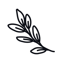 Isolated leaf icon vector design