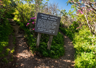 Fragile Habitat Sign