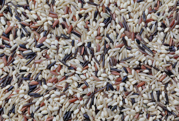 A close up of a  uncooked mixed Wild Rice with black Rice, Brown Rice and Basmati Rice
