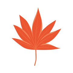 Isolated autumn leaf vector design
