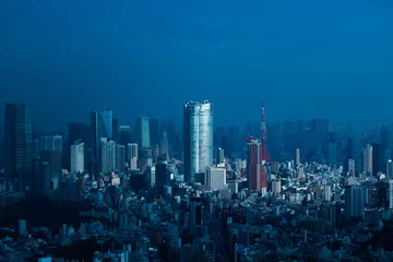 Muurstickers 日本 東京 高層ビルのある風景　typical sight of Tokyo, Japan © norikko