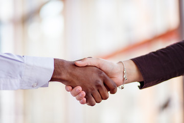 Obraz na płótnie Canvas Handshake between african and a caucasian man.