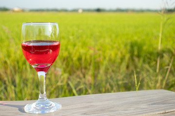 glass with red wine in rice field garden