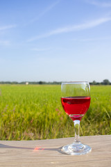 glass with red wine in rice field garden