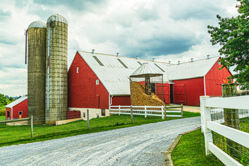 Amish country farm barn field agriculture in Lancaster, PA US © Vadim