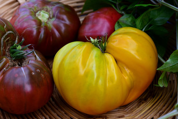 Heirlooms Tomatoes